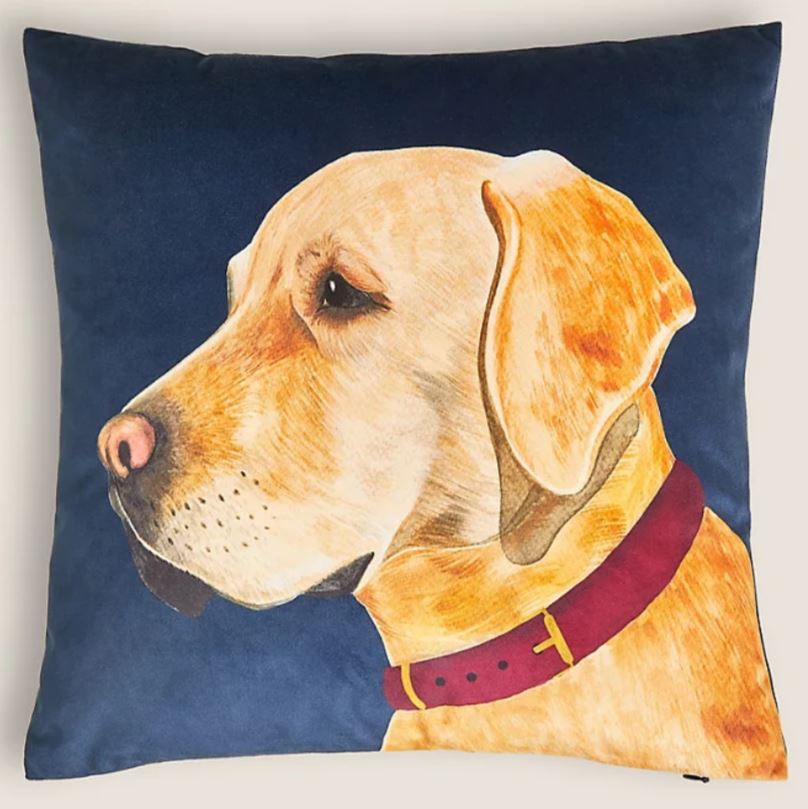 Christmas-gifts-for-dogs