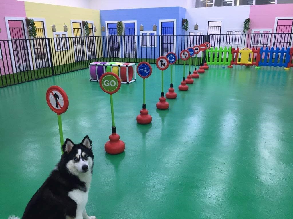 Churchwoods Pet Hotel