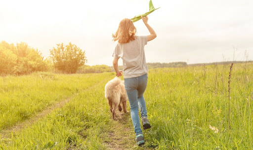 Dog Relocation in Dubai