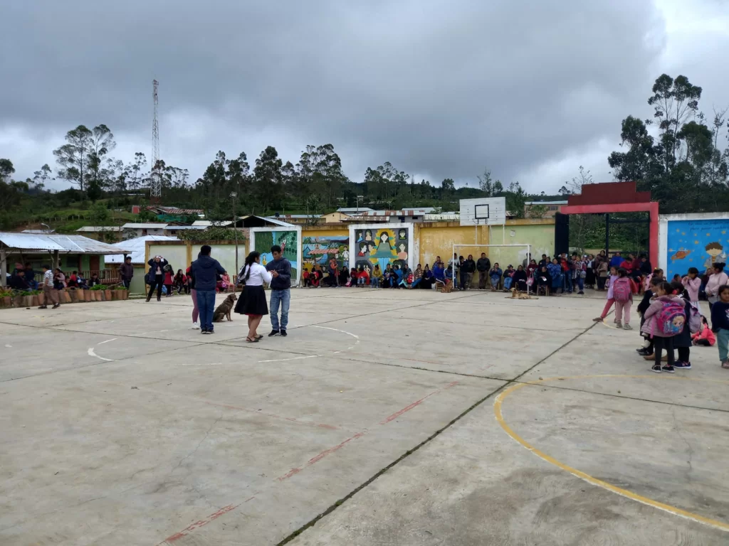 Dog's Break-Dance Moves Wow School Celebration