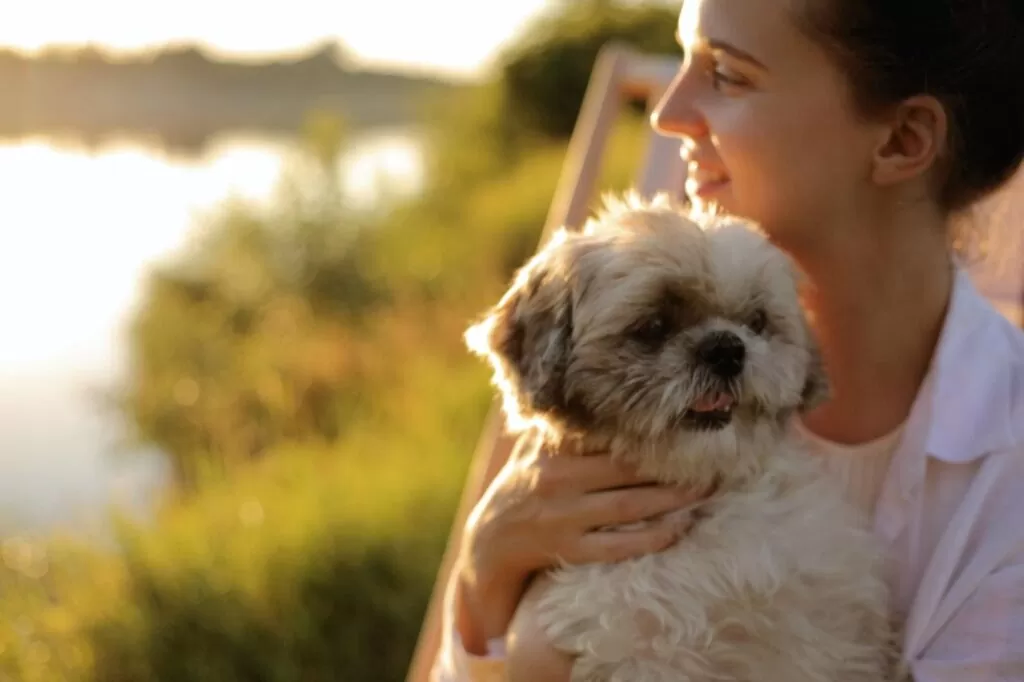 Our Top 5 Pet Friendly Activities for the Weekend