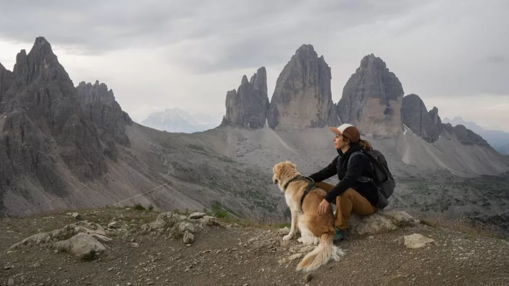 Pet Friendly Activities for the Weekend