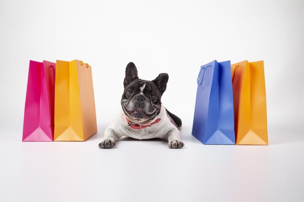 Pet Shops in Dubai Guide