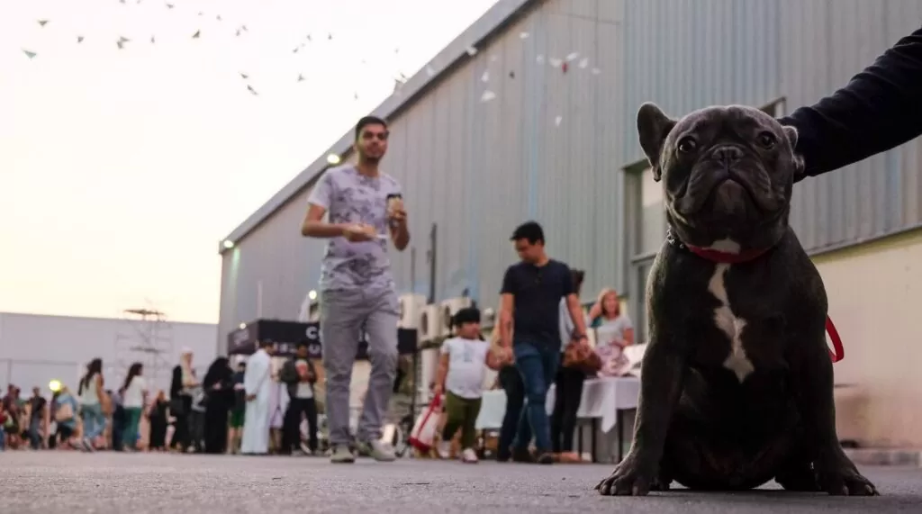Pet-friendly Day in Alserkal Avenue