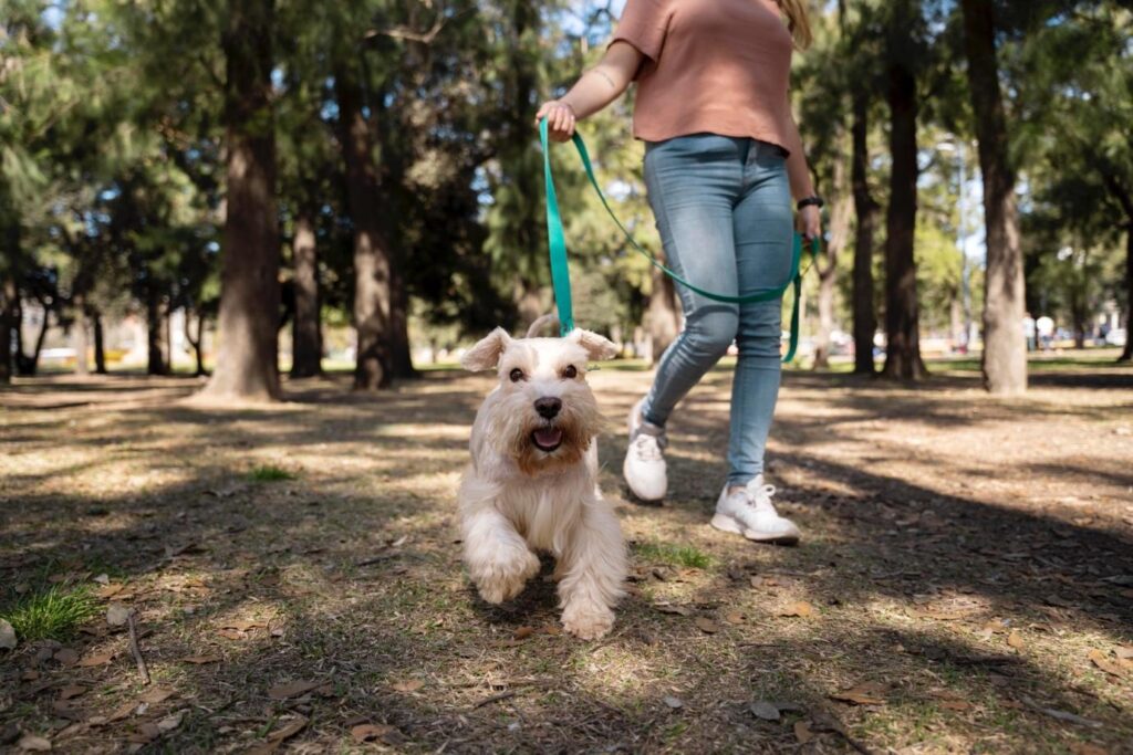 Pet-friendly Events in Dubai this Month