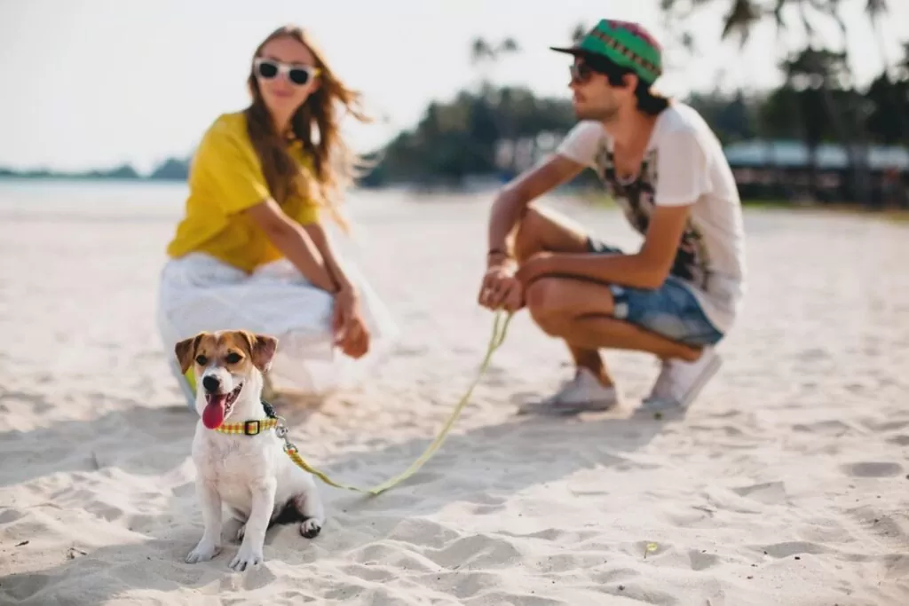 Pet-friendly Staycations This Eid