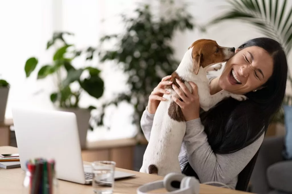 Pet-friendly co-working space in Dubai