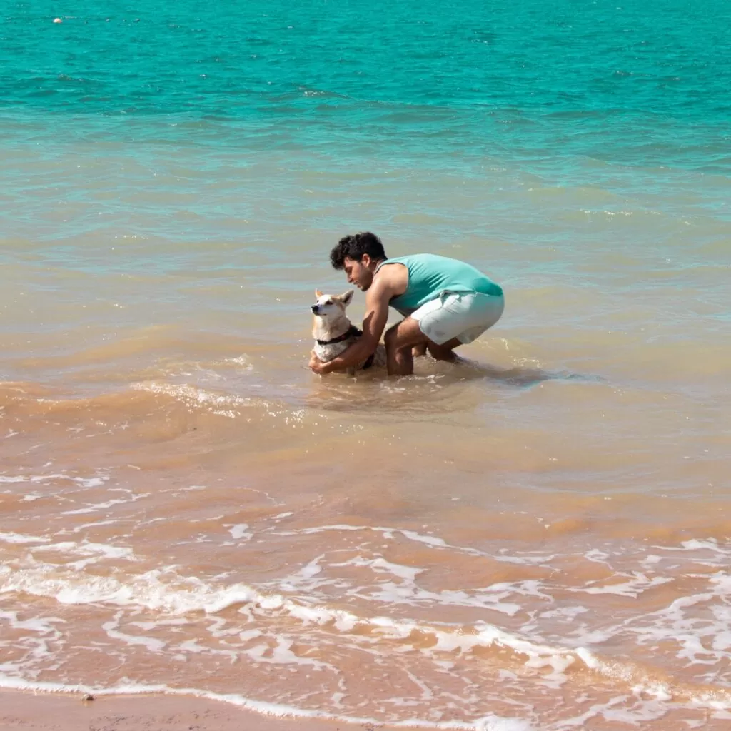 Pet friendly things to do in ras al khaimah