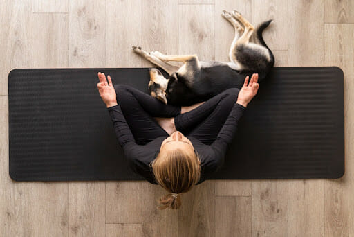 Try These 3 Tips if Your Dog Hyper When You Come Home