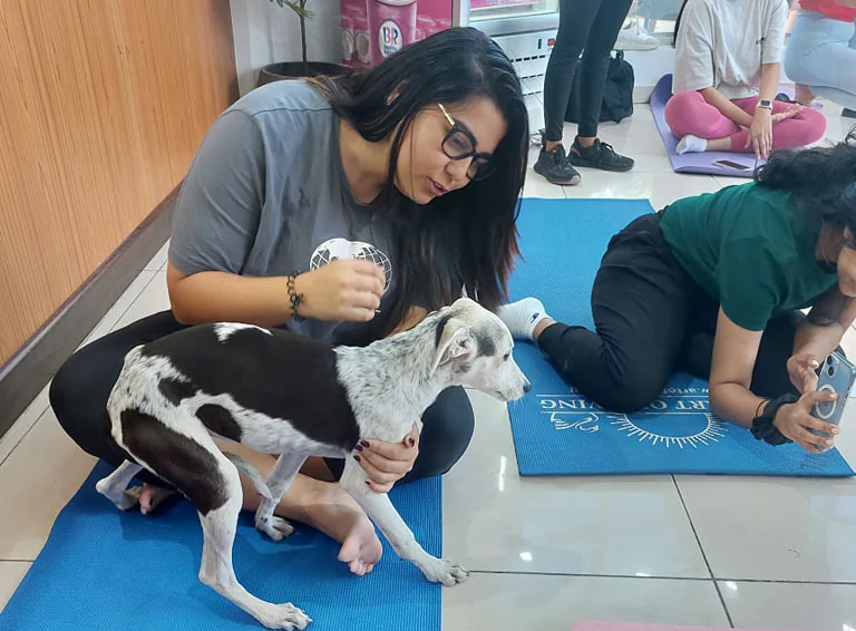 puppy yoga