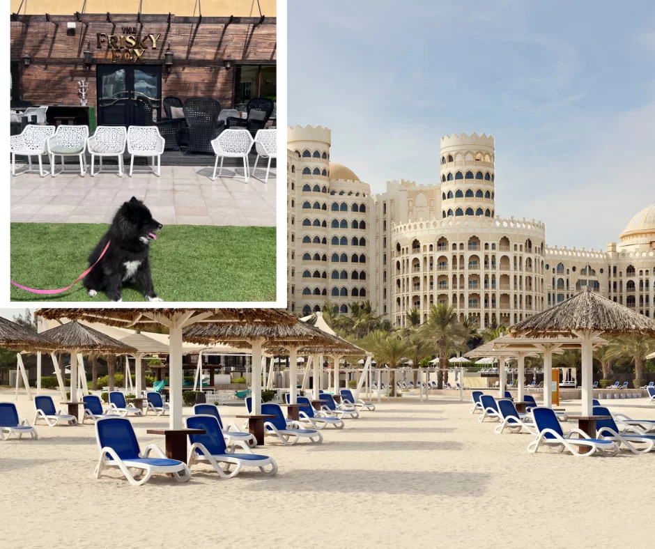 Pet friendly hotels RAK