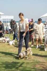 WhatsApp Image 2024-12-29 at 5.36.29 PM (1)