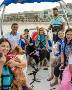 Tails at the Beach - Images - 2