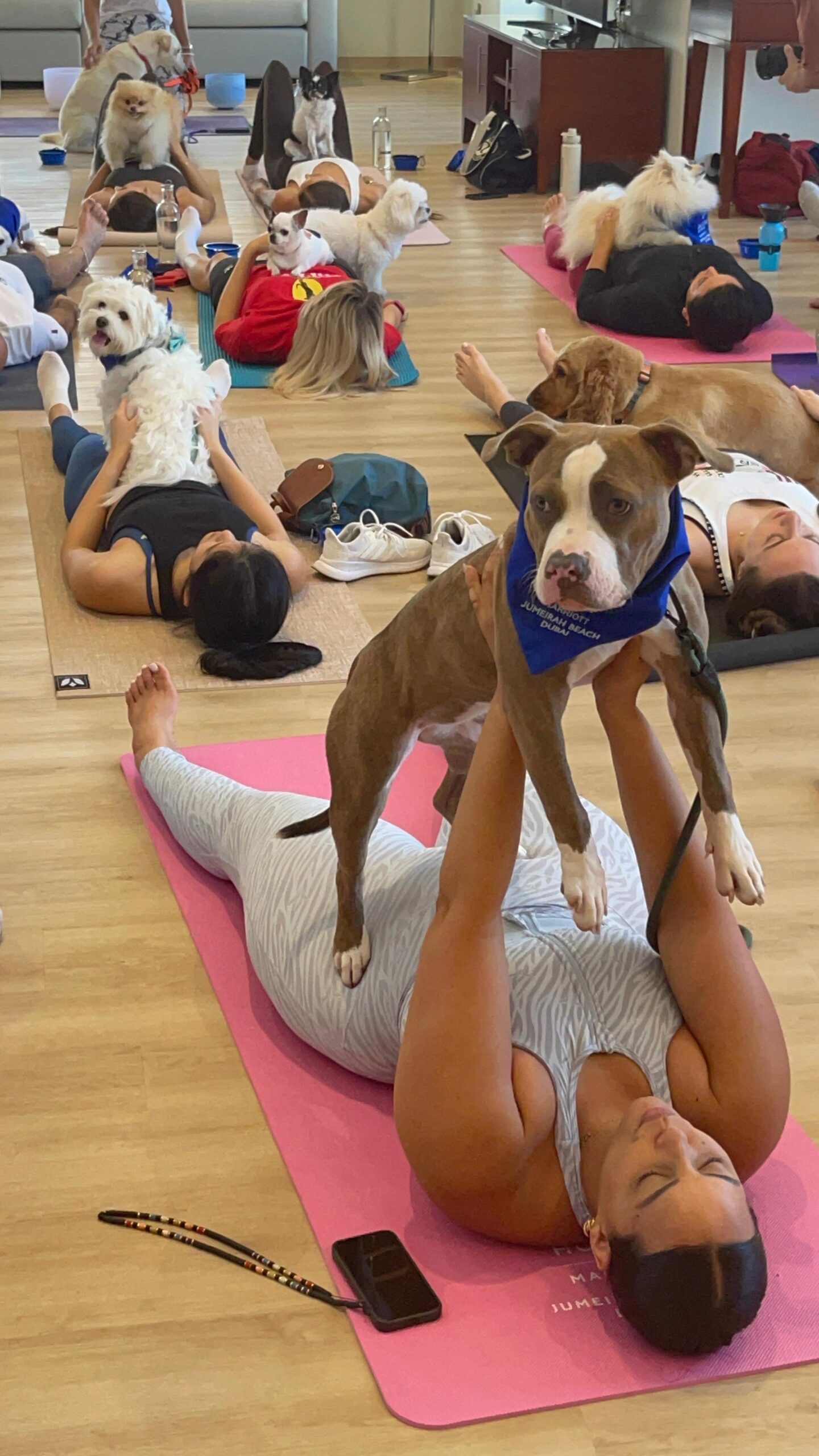 A woman sitting quietly with her dog resting beside her during a guided sound-healing session